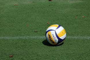 排球赛场焦点！瑞士队对阵法国队，意外判罚引发热议，比赛氛围紧张